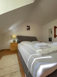 MAT & EDW RooM - Câmpulung Moldovenesc - 4