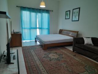 Studio - Discovery Gardens - Dubai - 3