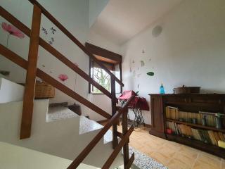 La quiete tra le montagne - 4