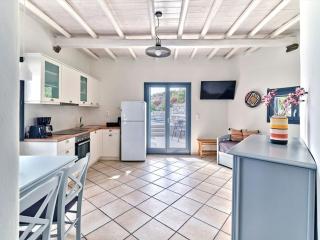 Iris House - Kampos Paros - 4