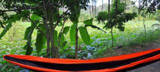 Thung Sen Tam Coc Chalets - 4