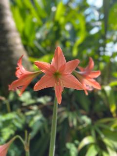 The Hidden Gem Viewpoint Camping & Rooms - 1