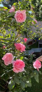 Villa Martigues - Martigues - 9
