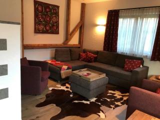 Chalet Veenroos - Neukirchen am Großvenediger - 1