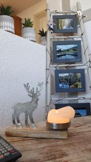 FeWo Hochsitz in Schonach - 3