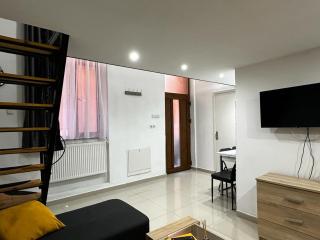 Apartament Studio Ultracentral Oradea - Oradea - 1