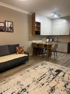 Апартаменты бизнес-класса в ЖК Amir - Almaty - 3