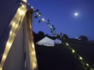 Porthleven Glamping - Porthleven - 8