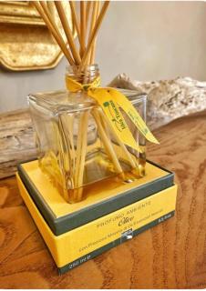 Florence Fevira Airport - Florence - 4