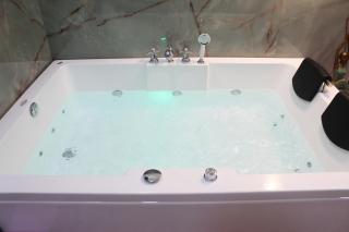 Modern Jacuzzi Spa Tub 1BHK Suite South Delhi (3) - Neu-Delhi - 6