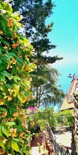 Villa Blu Costiera - Amalfi - 4