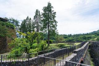La Rocca di Camporgiano - Camporgiano - 7
