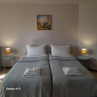 Casa Magnolia - Valeggio sul Mincio - 6