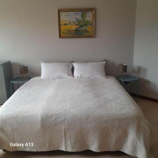 Casa Magnolia - 3