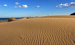 SPANISH SUN - 500 m from the beach - Arenales del Sol - 9