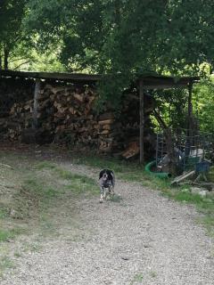 Appartamento Bellosguardo - Figline Valdarno - 9