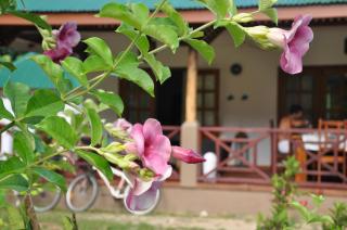 Paodise Guesthouse - La Digue - 6