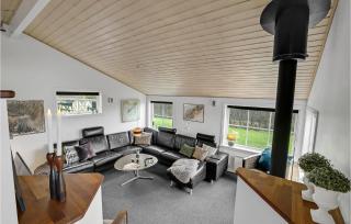 3 Bedroom Amazing Home In Vinderup - Vinderup - 5