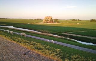 Wadd En Zee - Wierum - 5