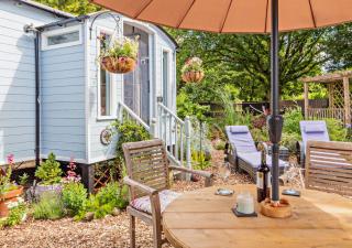 The Acorn - Lawford - 9