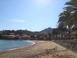 2TERIMP204B confortable T2 dans résidence neuve Collioure - Collioure - 1