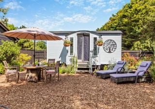 The Acorn - Lawford - 8