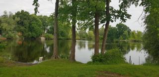 Ferienoase am Beetzsee mit Whirlpool und Sauna - Brandemburgo no Havel - 0