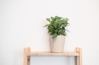 Studio Bordeaux rive droite - Lormont - 2