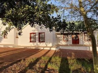 Olive And Vine Stay - Riebeek-Kasteel - 7