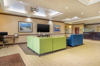 Comfort Inn & Suites Northeast - Gateway - St. Petersburg - 6