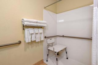 Comfort Inn & Suites Northeast - Gateway - St. Petersburg - 1