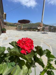 Casale Conti - Castellabate - 4