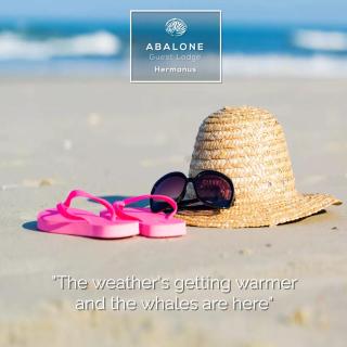 Abalone Guest Lodge - 9