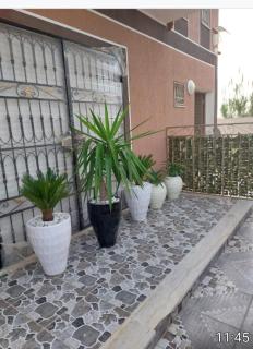 Residence El Baraka - 6