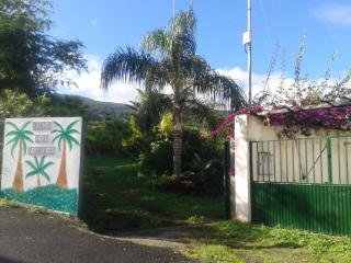Finca las Palmeras - Icod de los Vinos - 3