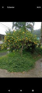 Micro-casa Pedra em flor - Paraty - 8