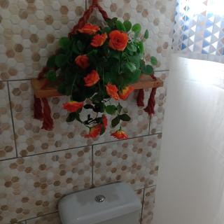 Micro-casa Pedra em flor - Paraty - 7