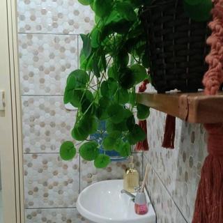 Micro-casa Pedra em flor - Paraty - 4