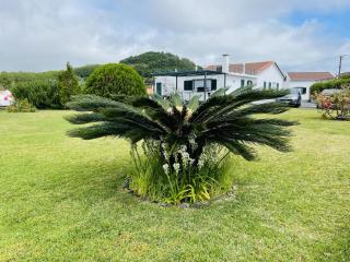 Casa da Fajã - 3