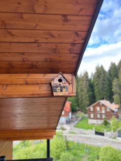 Cozy nest apartment in Bakuriani - Bakuriani - 6