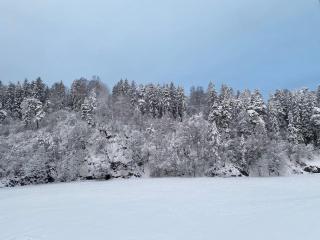 Spacious 3 Bedroom next to Thon Hotel, Storsenter Shopping, and 15 minutes to Oslo - 1