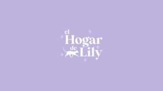 Espacio en casa compartida, SOLO HUÉSPEDES FEMENINOS, en El Hogar de Lily - San Martín de los Andes - 8