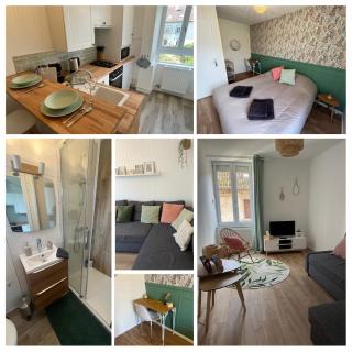 *La Belle Saison* lumineux, espace de travail, Wifi, Belfort ville - Belfort - 9