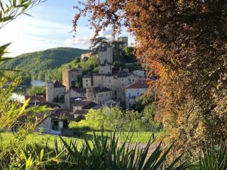Des Châteaux entre les Feuilles - Parc vue Village - Puy-lʼÉvêque - 9