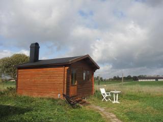 Bhumi's farm - Lövestad - 0