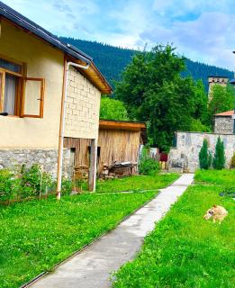 Mziuri Guest House - 4