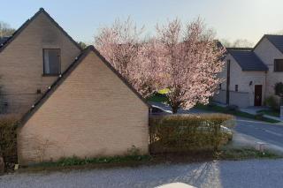 A louer un appart dans une résidence calme - Mont-Saint-Guibert - 2