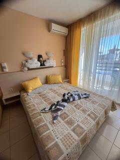 Harmony Hills Petkovi Studio apartment - Rogachevo - 8