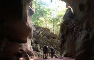 Tahan Guest House - Kuala Tahan - 4