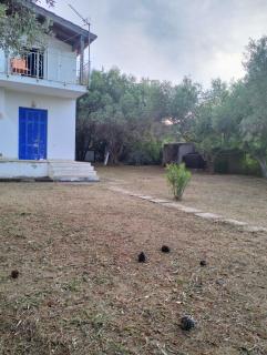 Greeksummer - 7